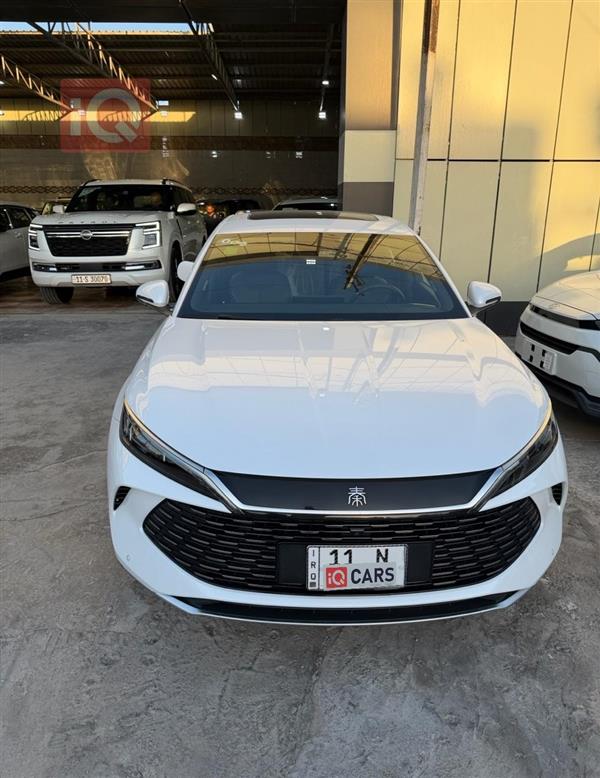 بي واي دي كوين L DM-i 2024 للبيع في العراق -  بغداد